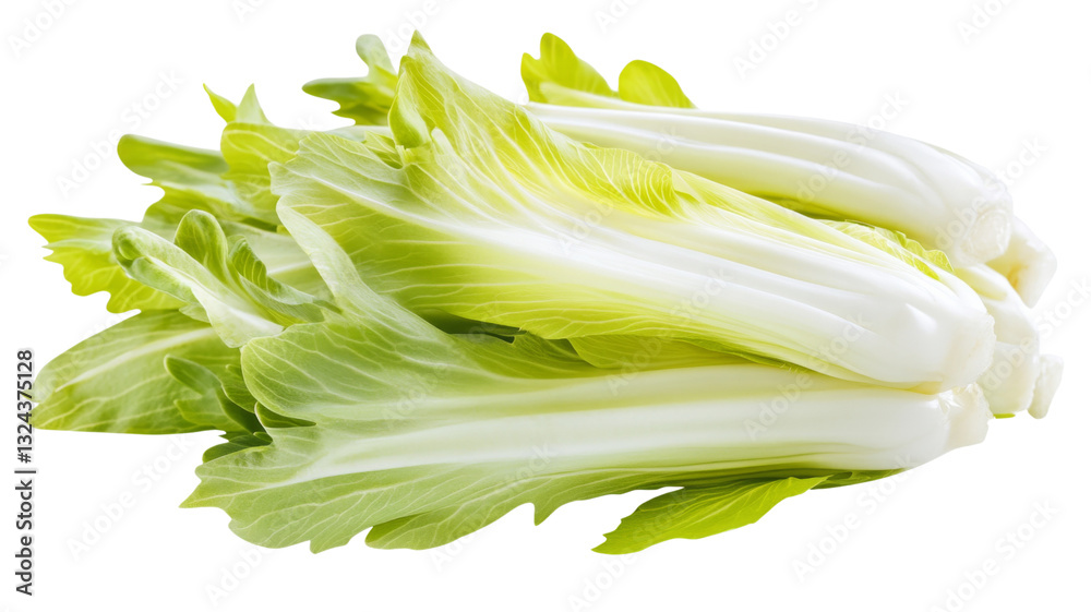 Obraz premium Fresh bok choy vegetable with green leaves isolated on transparent background