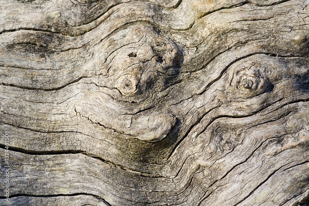 This image showcases a light brown wood grain texture adorned with a cheerful smiley face, creating a unique and inviting visual. The intricate details of the wood grain add to its charm. This image showcases a light brown wood grain texture adorned with a cheerful smiley face, creating a unique and inviting visual. The intricate details of the wood grain add to its charm.