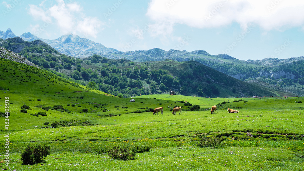 Obraz premium Beautiful scenery of Pico de Europa, Spain