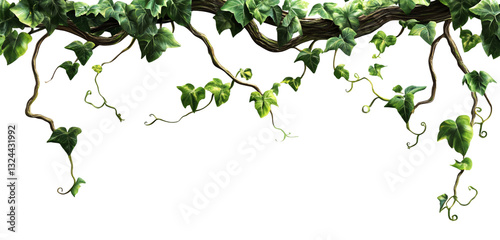 Tangled vines, jungle tree branches, vines, vector PNG transparent background