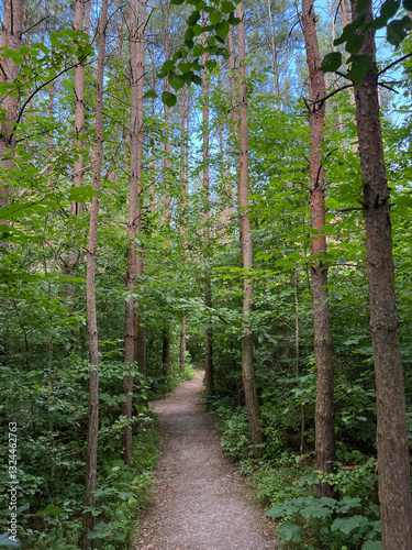 Nationalpark Hainich - Waldlabyrinth am Feenstieg