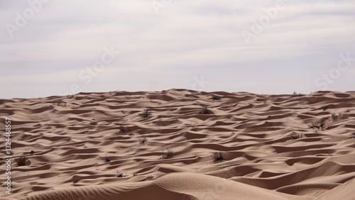 Fototapeta Naklejka Na Ścianę i Meble -  Rolling sand dunes in the Sahara Desert, outside of Douz, Tunisia