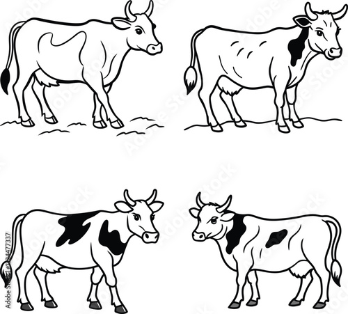 set of black and white cow line art coloring  page 