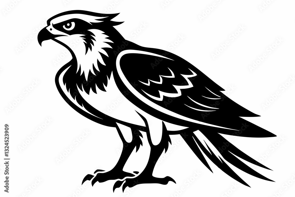 Obraz premium osprey bird silhouette