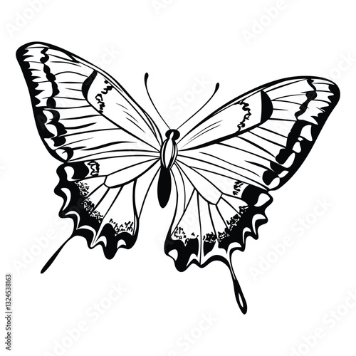 butterfly coloring page design