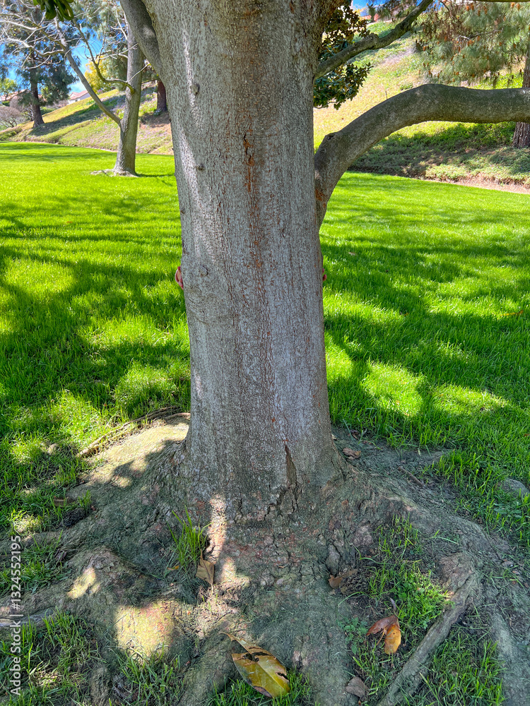 Cute little girl is playing around the grass and trees at the park