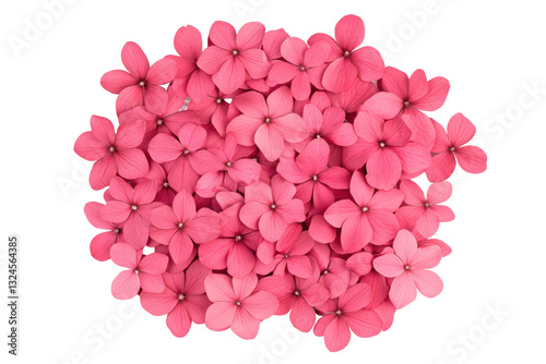 Pink flower petals arranged in a beautiful cluster, cut out