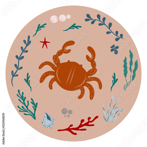 Crab surrounded by coral, starfish, algae, seaweed in a circle. Illustration in nautical style.
