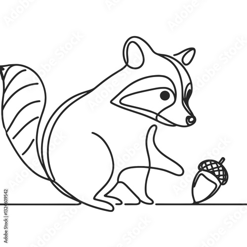 Raccoon looking at acorn against white background