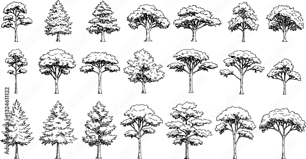Set of coniferous and deciduous trees for architecture and landscape design, line drawing, contour. Vector illustration
