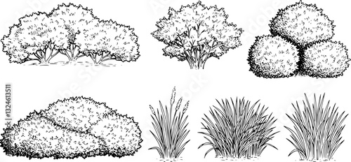 Set of bush and bare bush, decorative garden plants, contour. Vector illustration
