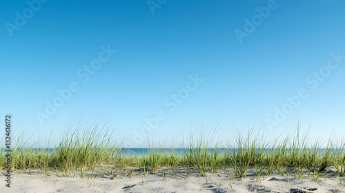 Vibrant Blue Sky Over Sandy Beach with Green Sea Grass during Sunny Day