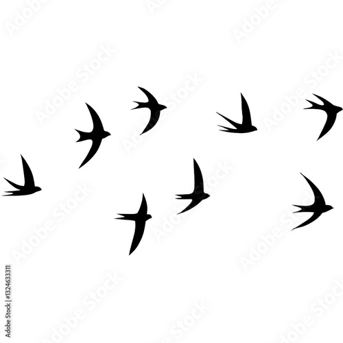 A flock of birds. Birds silhouetted 