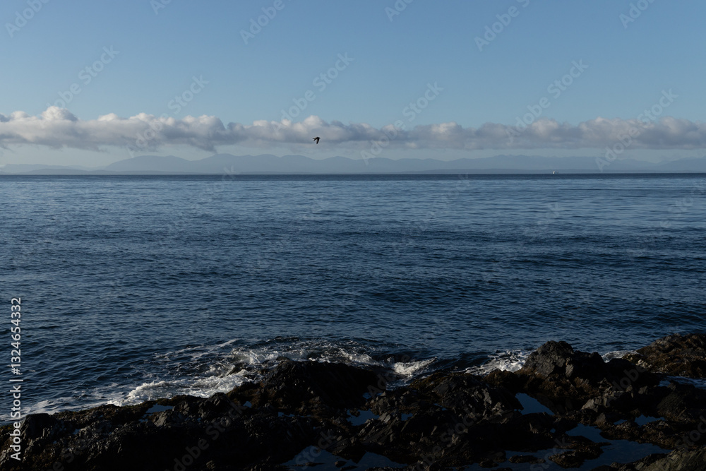 Ocean horizon with mountain range, blue sky, clouds, bird, and coastal rocks Ocean horizon with mountain range, blue sky, clouds, bird, and coastal rocks