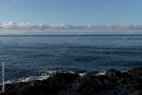 Canvas Print Ocean horizon with mountain range, blue sky, clouds, bird, and coastal rocks