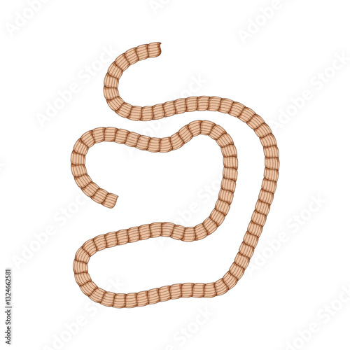 rigging rope cartoon vector illustration