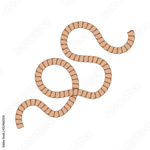 cordage rope cartoon vector illustration