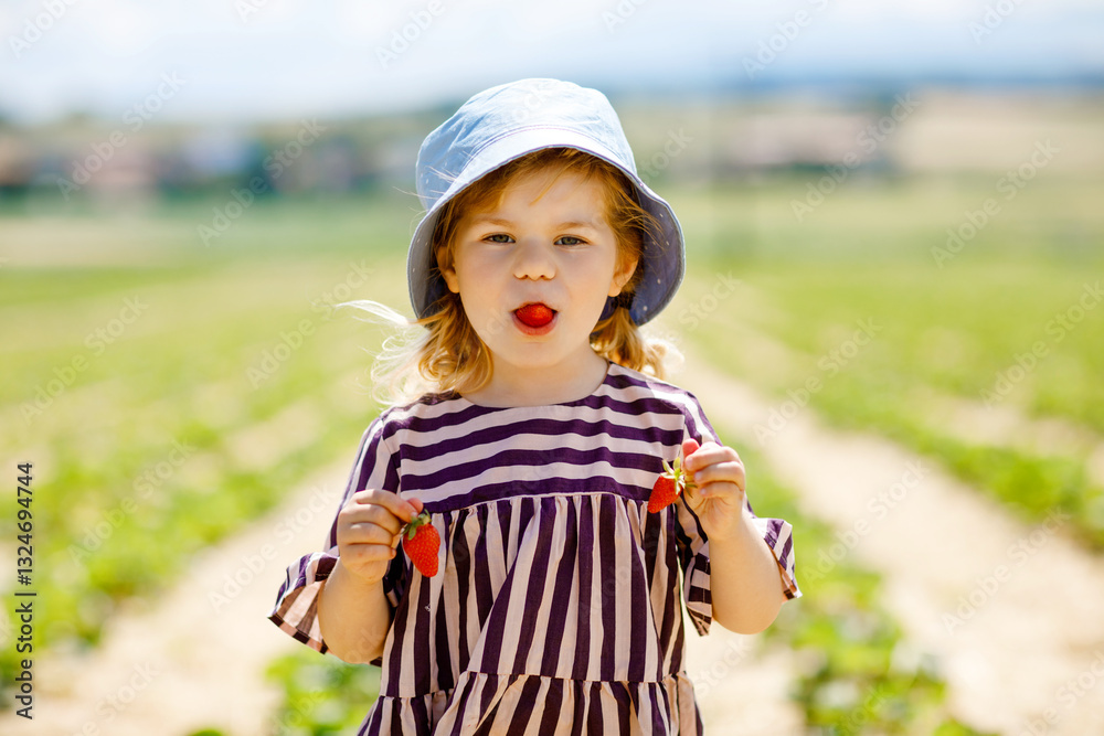 Portrait of happy little toddler girl picking and eating healthy strawberries on organic berry farm in summer, on sunny day. Smiling child. Kid on strawberry plantation field, ripe red berries.