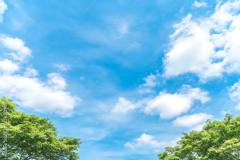 Trees frame a bright blue sky with puffy white clouds, airy and scenic Trees frame a bright blue sky with puffy white clouds, airy and scenic