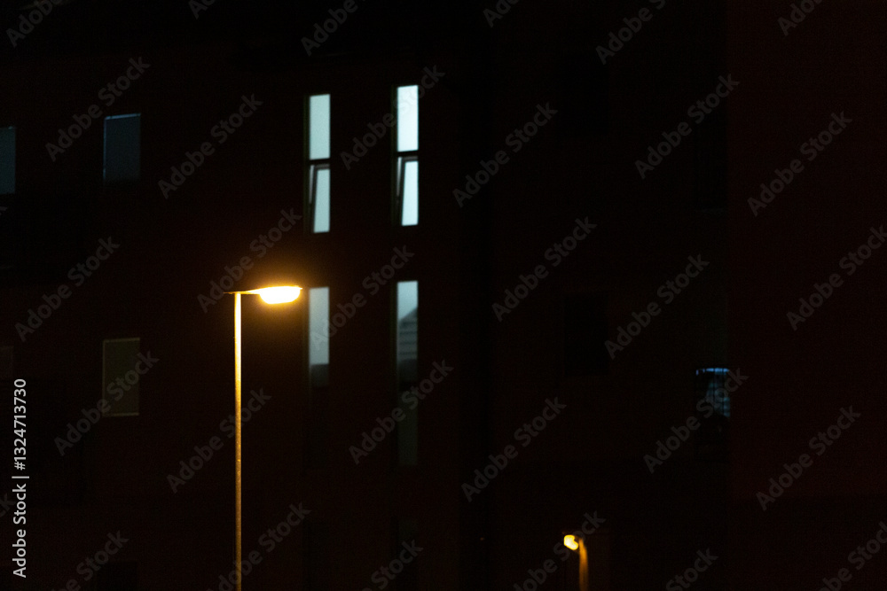 Fototapeta premium A street light is brightly lit up in front of a large building during the night, illuminating the surroundings with its warm glow
