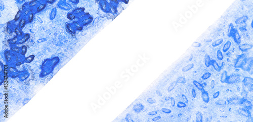 Blue plant cell study with watercolor technique and detailed microscope patterns.