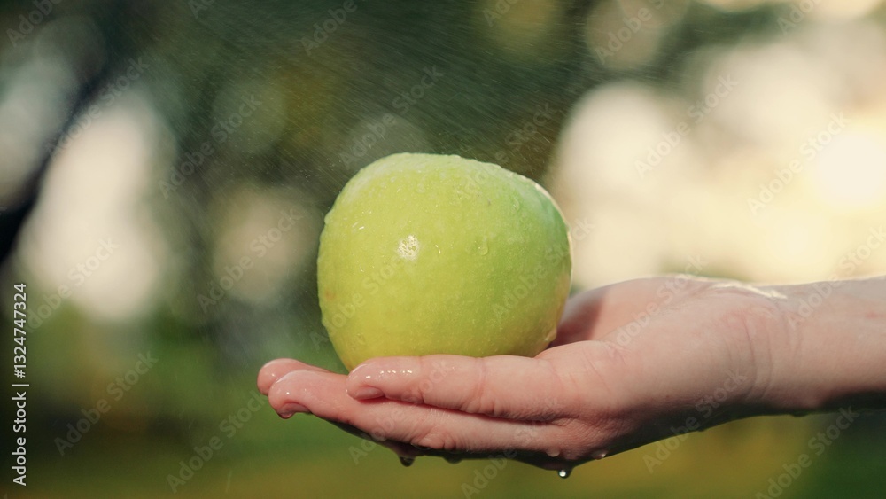 Splashes of water fall on green apple. Ripe juicy apple in palm in hand close-up. Wet green apple on hand. Concept healthy eating. Healthy fresh fruits from summer garden. Natural vitamins for people Splashes of water fall on green apple. Ripe juicy apple in palm in hand close-up. Wet green apple on hand. Concept healthy eating. Healthy fresh fruits from summer garden. Natural vitamins for people