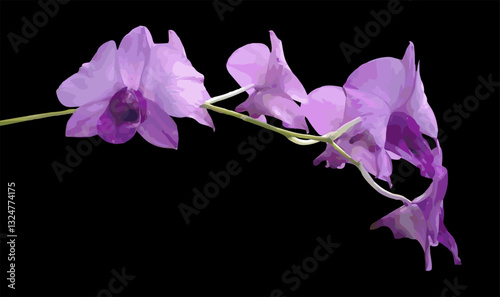 beautiful purple orchids on a black background