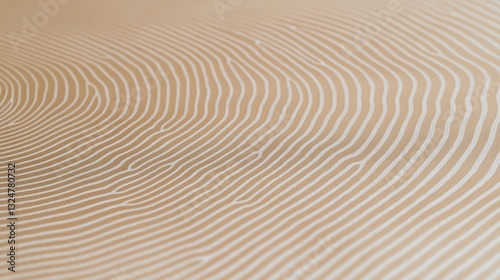 Delicate lines and swirls reveal the beauty of wood grain through a hyper-detailed close-up exploration of nature's design