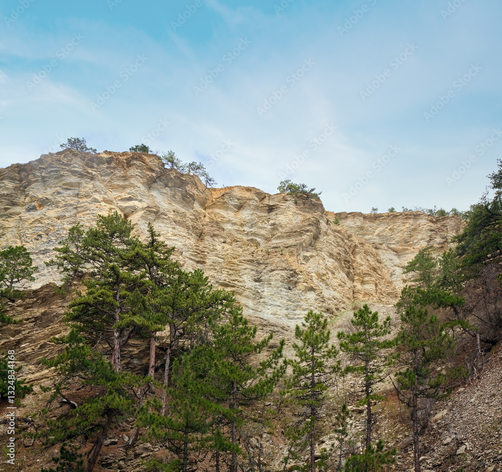 Cloudy Aj-Petri Mountain view and pine trees on slope Crimea, Ukraine)