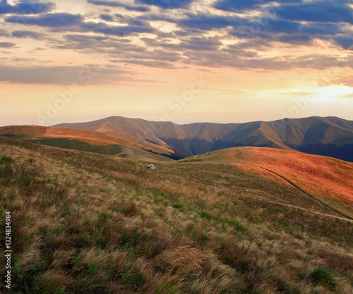 Obraz na płótnie summer cloudy mountain landscape with tourist camp on slope (Ukraine, Carpathian Mountains) w salonie
