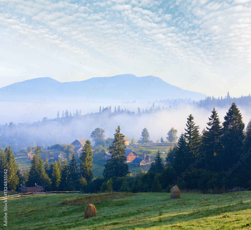 summer misty mountain village (countryside landscape)