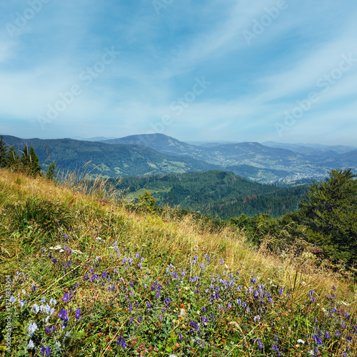 Summer mountain view with flowers