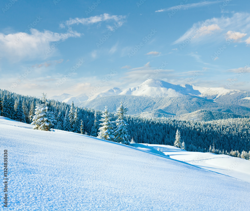 Winter Goverla Mount view and snow surface on mountainside in front. (Carpathian Mountains, Ukraine)