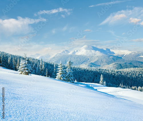 Obraz na płótnie Winter Goverla Mount view and snow surface on mountainside in front. (Carpathian Mountains, Ukraine) w salonie