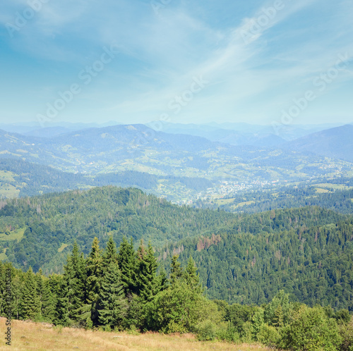 summer mountain village and forest on mountainside