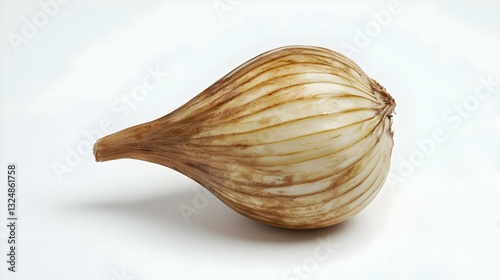 Wallpaper Mural fresh whole fennel bulb on white background Torontodigital.ca