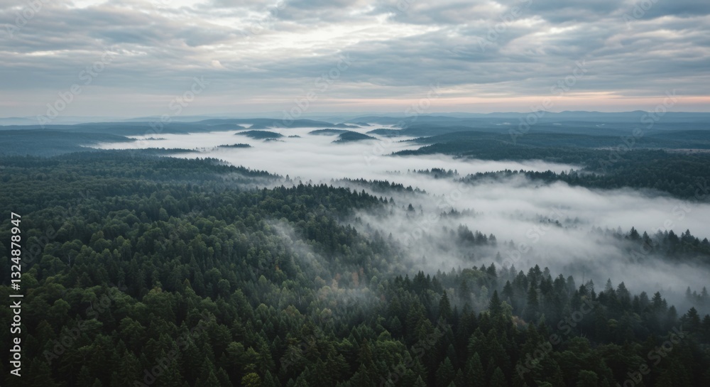 Fototapeta premium Aerial View of Fog Flowing Through Green Forest Landscape