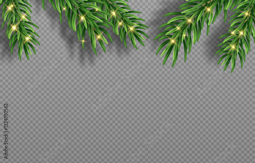 Green Christmas fir branches with detailed needles in vector graphics. Perfect for holiday designs, greeting cards, and banners. Png background for easy integration.