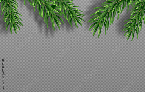 Green Christmas fir branches with detailed needles in vector graphics. Perfect for holiday designs, greeting cards, and banners. Png background for easy integration.