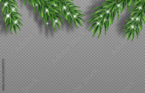 Green Christmas fir branches with detailed needles in vector graphics. Perfect for holiday designs, greeting cards, and banners. Png background for easy integration.