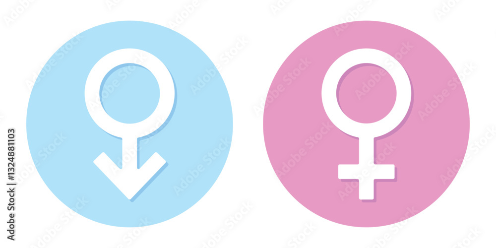 A set of male and female gender symbols. Female and male signs. Sex symbolism. EPS 10. Vector illustrations