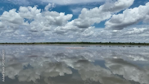 Flamingos Flying over wetlands in South Africa