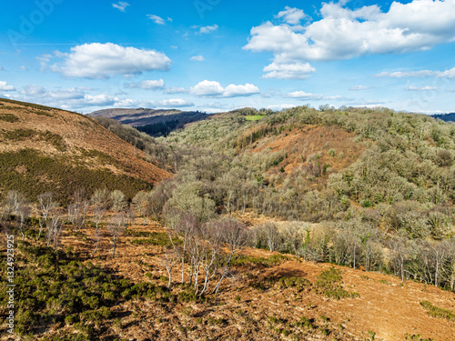Farms and Woods over East Dartmoor National Nature Reserve from a drone, Yarner Wood, Lustleigh, Newton Abbot, Devon, England