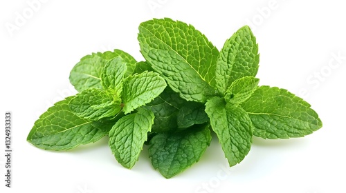 Obraz na płótnie Fresh spearmint leaves isolated on the white w salonie
