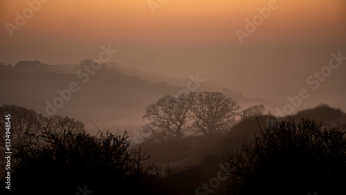Sunrise winter trees, Hadleigh, Essex