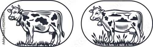set of  Cow grazing in the meadow milk dairy farm vector illustration, engraving sketch ink poster black illustration etching style tattoo, Woodcut clean line 