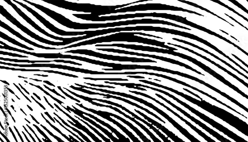 Black and white safari pattern for sporty background. Zebra texture, easily recoloured at your discretion. Vector Format Illustration 
