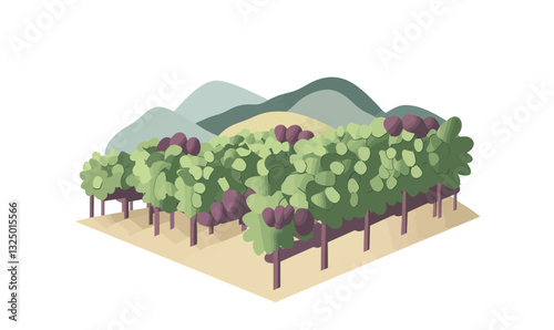 Scenic Vineyard Landscape Vector 3D Illustration with Rolling Hills