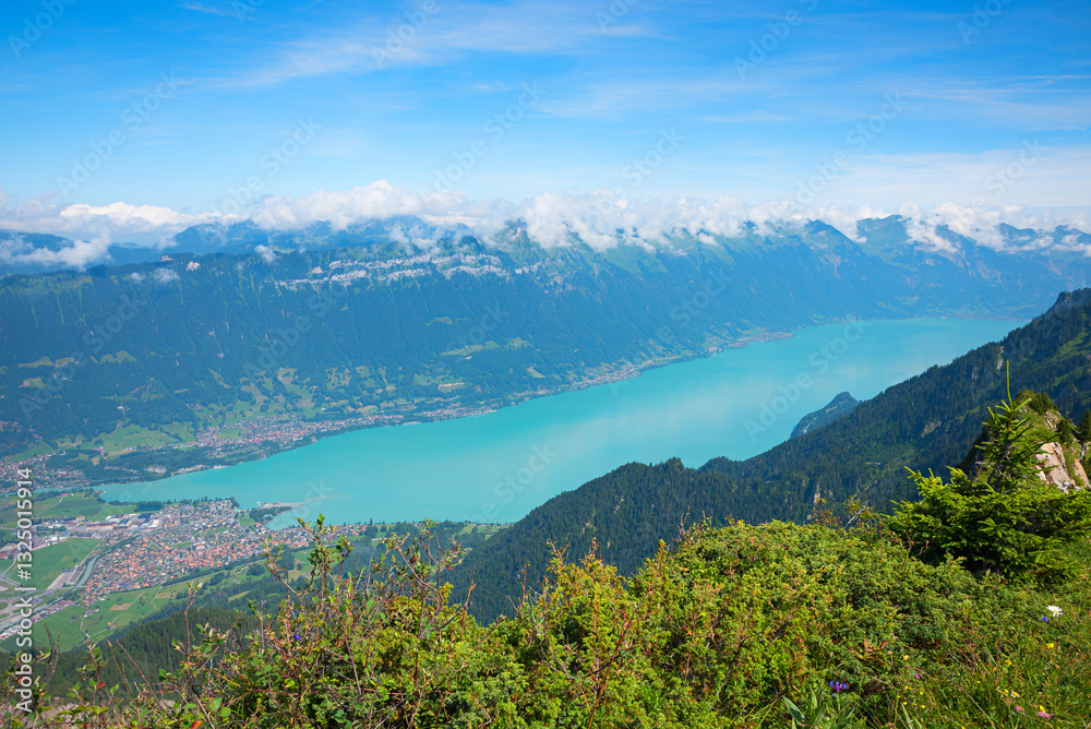 Obraz premium turquoise lake Brienzersee, view from Schynige Platte mountain, swiss alps