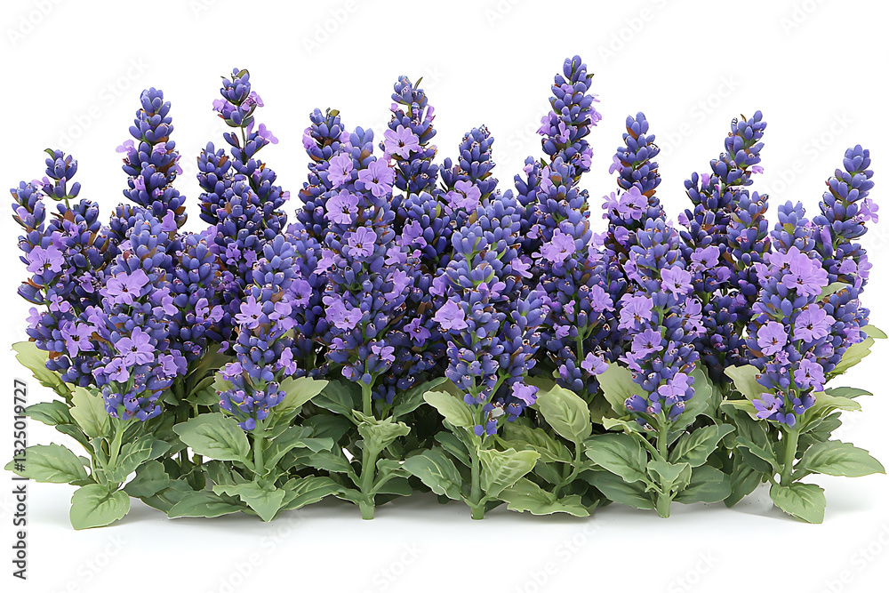 Fototapeta premium A cluster of vibrant lavender plants with green leaves stands out against a stark white backdrop.